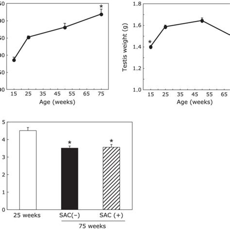 Changes In Body And Testis Weight A And The Ratio Of Testis Weight