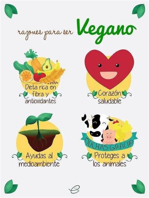 Pin de MARIA JOSE VALENCIA en Veganismo | Beneficios de ser vegano, Ser vegano, Mundo vegano