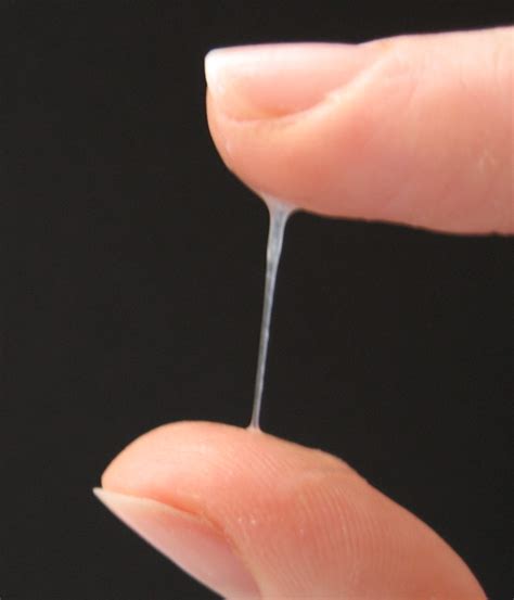 File Cervical Mucus Wikimedia Commons