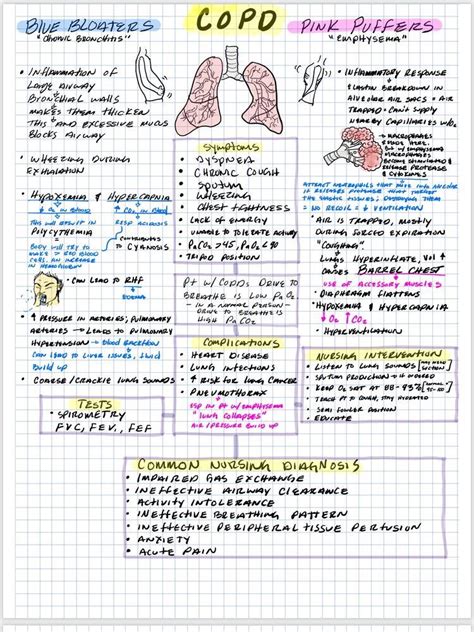 Nursing Study Guide Nursing Student Tips Best Nursing Schools