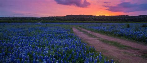 German historical sites in the hill country region. The Definitive Texas Hill Country Road Trip | Roadtrippers