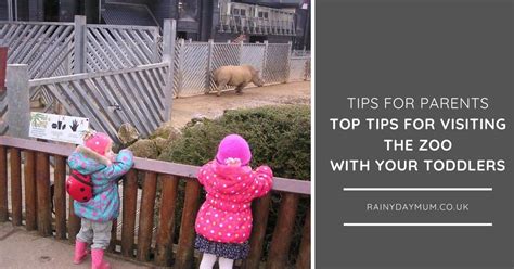 Top Tips For Visiting The Zoo With Your Toddler And Enjoying It