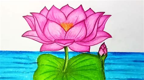 Lotus Flower Art Drawing Beautiful Carlo Neer