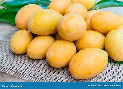 Mango Del Ciruelo O Fruta Mariana Del Ciruelo Foto De Archivo Imagen