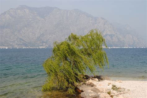 Free Images Beach Landscape Sea Coast Tree Rock Ocean Mountain