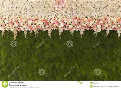 Beautiful Flowers With Green Fern Leaves Wall Background Beautif Stock