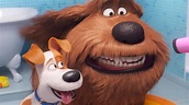 The Secret Life of Pets 2 movie review: Kids-only affair | Gold Coast ...