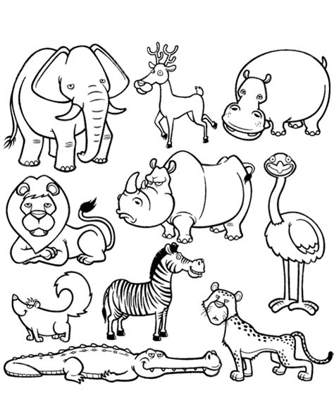 African Animals Coloring Pages For Kids