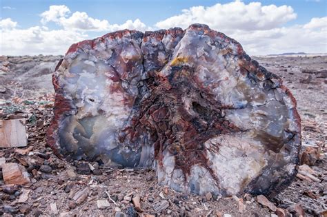 Our Prehistoric Playground Petrified Forest National Park Huffpost Life