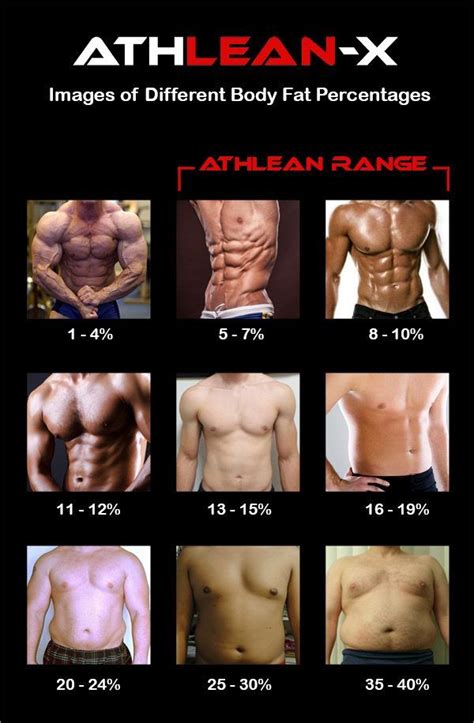 Body Fat Percentage How To Quickly Identify Your Body Fat Level Body Fat Percentage Men Body