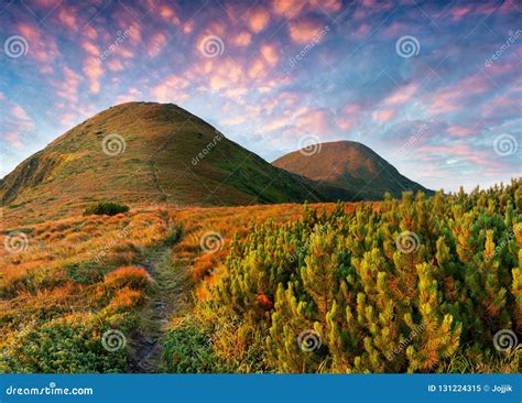 Great Summer Sunrise In Carpathians Stock Image Image Of Picturesque