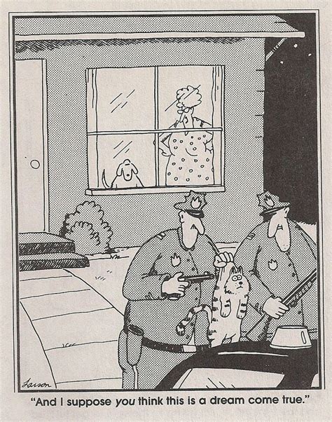 385 Best Images About Gary Larson The Far Side On