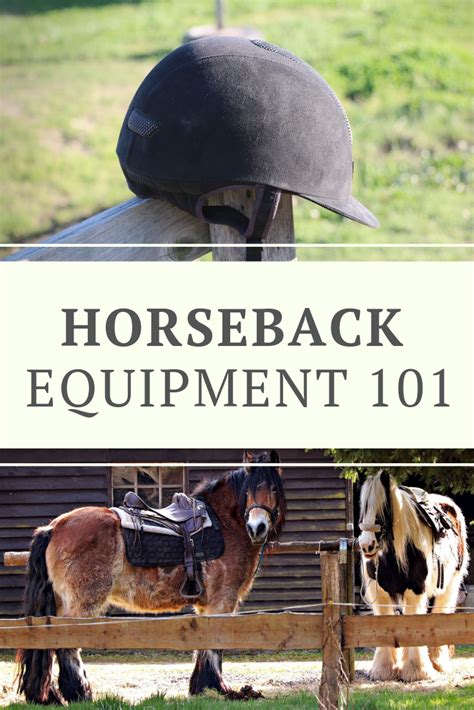 Horseback Riding Equipment 101 Horseback Riding Equestrian Outfits