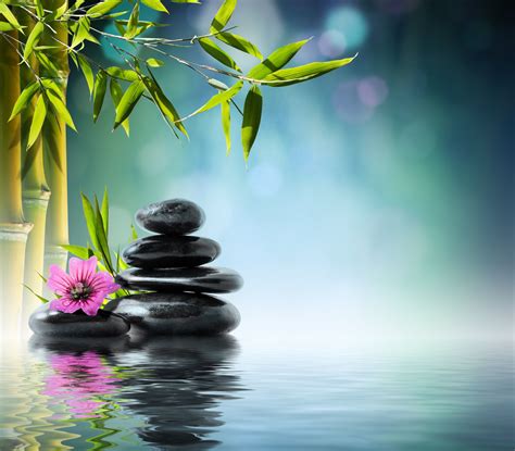 Black Stones Flower Water Stones Bamboo Flower Water Orchid