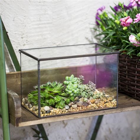 Handmade Rectangle Clear Glass Geometric Terrarium Box With Lid For Succulents Micro Landscape