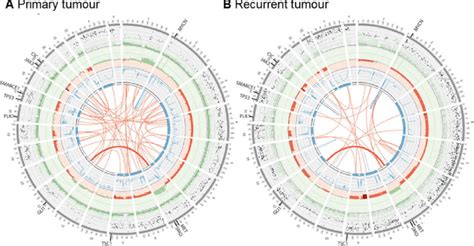 Whole Genome Sequencing Of Primary And Recurrent Tumors Circos Plots