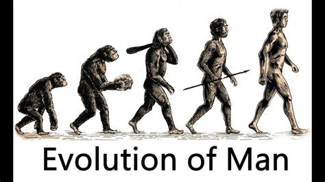 The Evolution Of Man Million Years Ago Years Ago YouTube