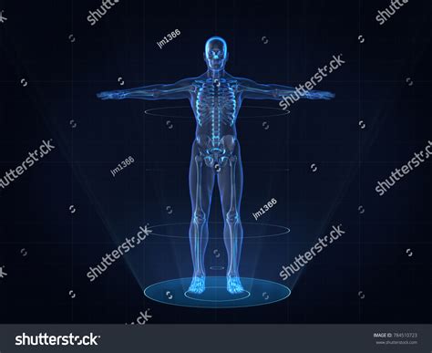 Human Body Blueprints Images Stock Photos And Vectors Shutterstock