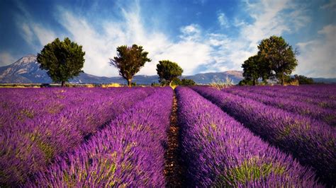 Provence France Desktop Wallpapers 4k Hd Provence France Desktop