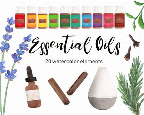 Essential Oil Clipart Oily Clipart Essential Oils Etsy