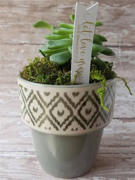 Let Love Grow Succulent Stake Succulent Stake Wedding Favor Plant