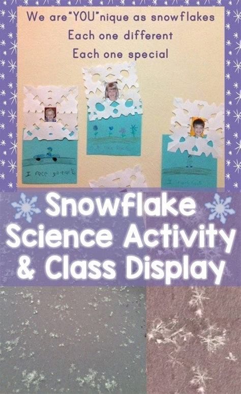 Snowflake Science Snowflake Classroom Display Classroom Displays