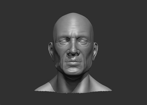 Old Male Head Realistic Base Mesh 3d Model 3d Model Cgtrader
