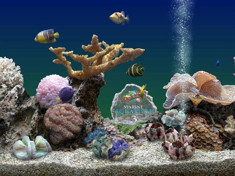 Serene Screensaver Marine Aquarium 3 Lasopaarch