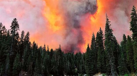 Us Wildfires Scorch Area The Size Of New Jersey