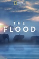 The Flood (película 2018) - Tráiler. resumen, reparto y dónde ver ...