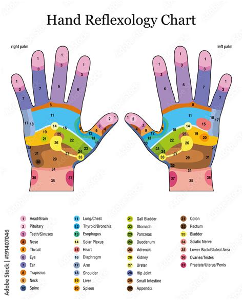 Hand Reflexology Alternative Acupressure And Physiotherapy Health Treatment Zone Massage Chart