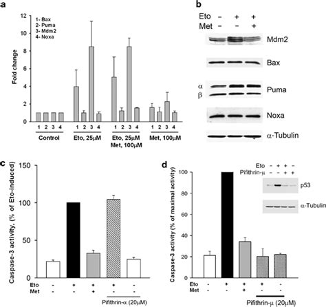 M3 Muscarinic Receptors Protect Against Apoptosis In Sh Sy5y Cells Download Scientific Diagram