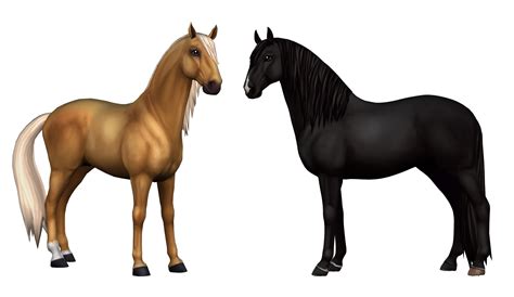 Star Stable Logo Png 10 Free Cliparts Download Images On Clipground 2024