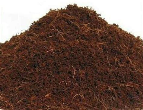 Great savings & free delivery / collection on many items. HYDROPONIC GROWING MEDIA COCONUT FIBER coco coir natural ...
