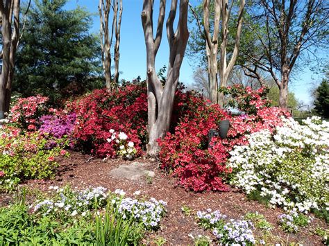 Dallas Arboretum And Botanical Garden How To Plan Your Trip Blog