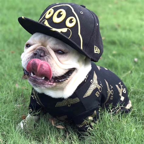 Fashion Gangsta Punk Apparel Classic Godfather Pet Clothes Dog Vest