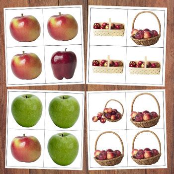 Check spelling or type a new query. FREE Apple Same & Different Cards by Karen Cox | TpT