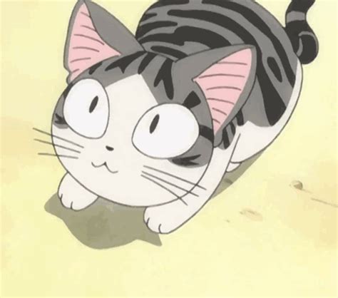 Pin By Cookie On Chis Sweet Home Anime Cat Anime Kitten Anime Cats