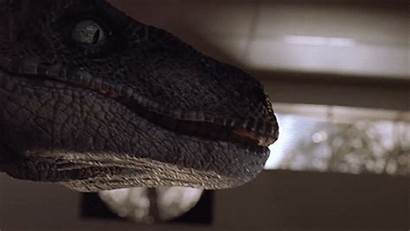 Jurassic Park Velociraptor Raptor Gifs Jp Richards