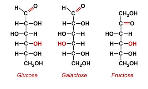 Carbohydrates Notes For Class 12 Chemquest