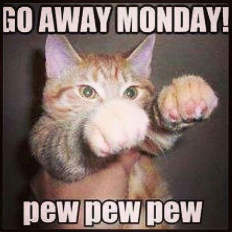 Go Away Monday Meme Grumpy Cat Humor Funny Cats Grumpy Cat