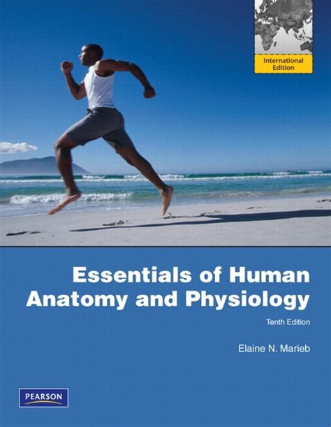 Marieb Essentials Of Human Anatomy And Physiology With Essentials Of