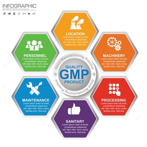 Gmp Good Manufacturing Practice 6 Heading Of Infographic Template With