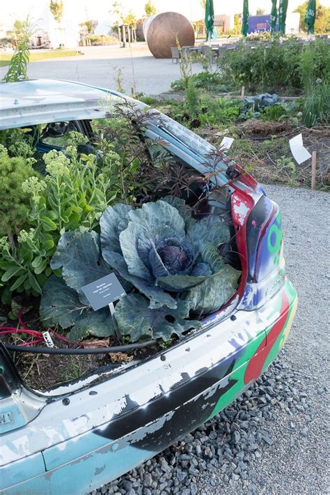 Die frauen bevorzugen die frank c. Der Urbane Garten im Hochsommer - Garten Fräulein der ...