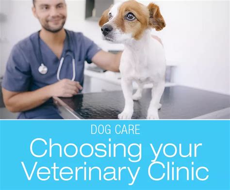 We promise that together, we will develop the optimal healthcare plan for your pet. Picking an Animal Vet Clinic: Are Large Clinics Better ...