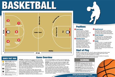 Basketball Posterchart 2495 Our Basketball Overview Poster Is