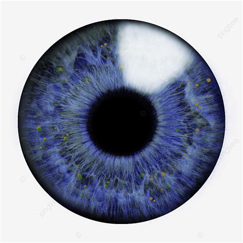 Blue Eye Pupil Png Olho Azul Aluno Eye Pupil Imagem Png E Psd Para