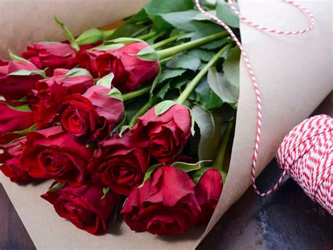 Valentine`s Day Red Roses Bouquet Wrapping Flowers