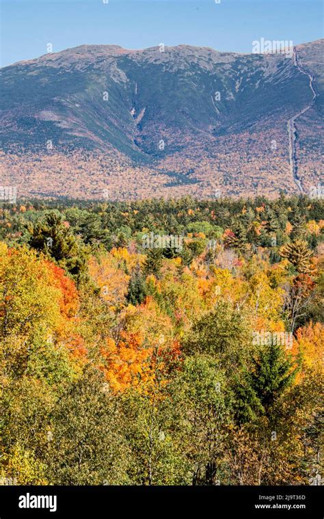 Usa New Hampshire Fall Foliage Of Mt Washington Seen From Bretton