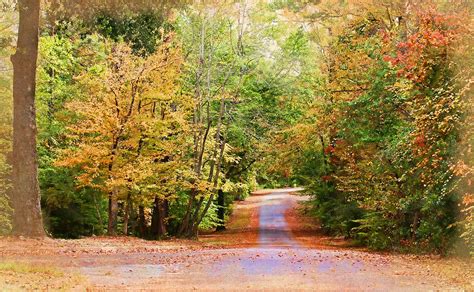 Fall Pathway Photograph By Judy Vincent Fine Art America